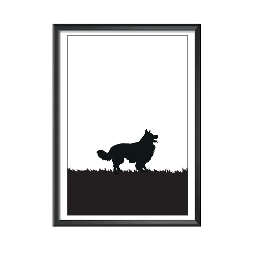 Border Collie poster 30x40 cm