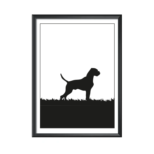Boxer poster 30x40 cm