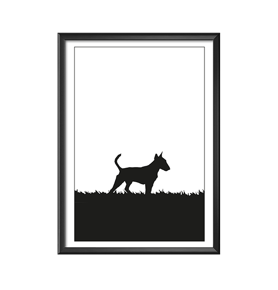 Bullterrier poster 30x40 cm