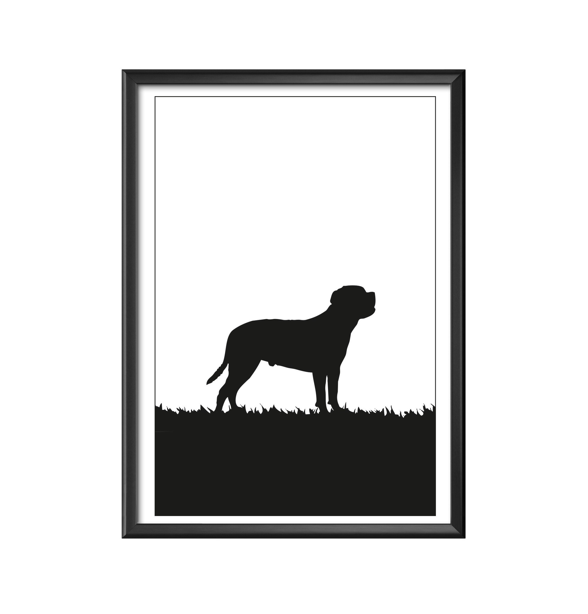 Cane Corso poster 30x40 cm