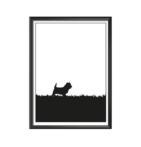 Cairnterrier poster 30x40 cm