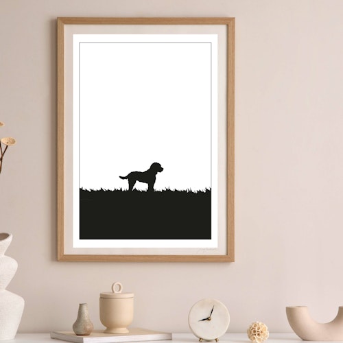 Cockerpoo poster 30 x 40 cm