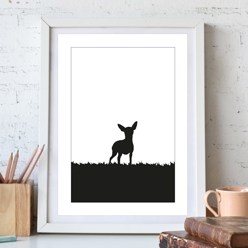 Dvärgpinscher poster 30x40 cm