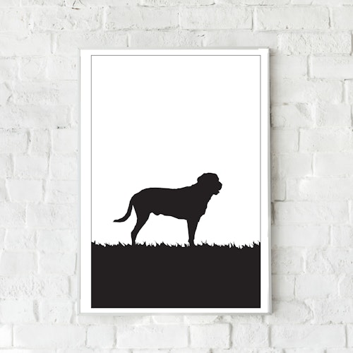 Broholmer poster 30x40 cm
