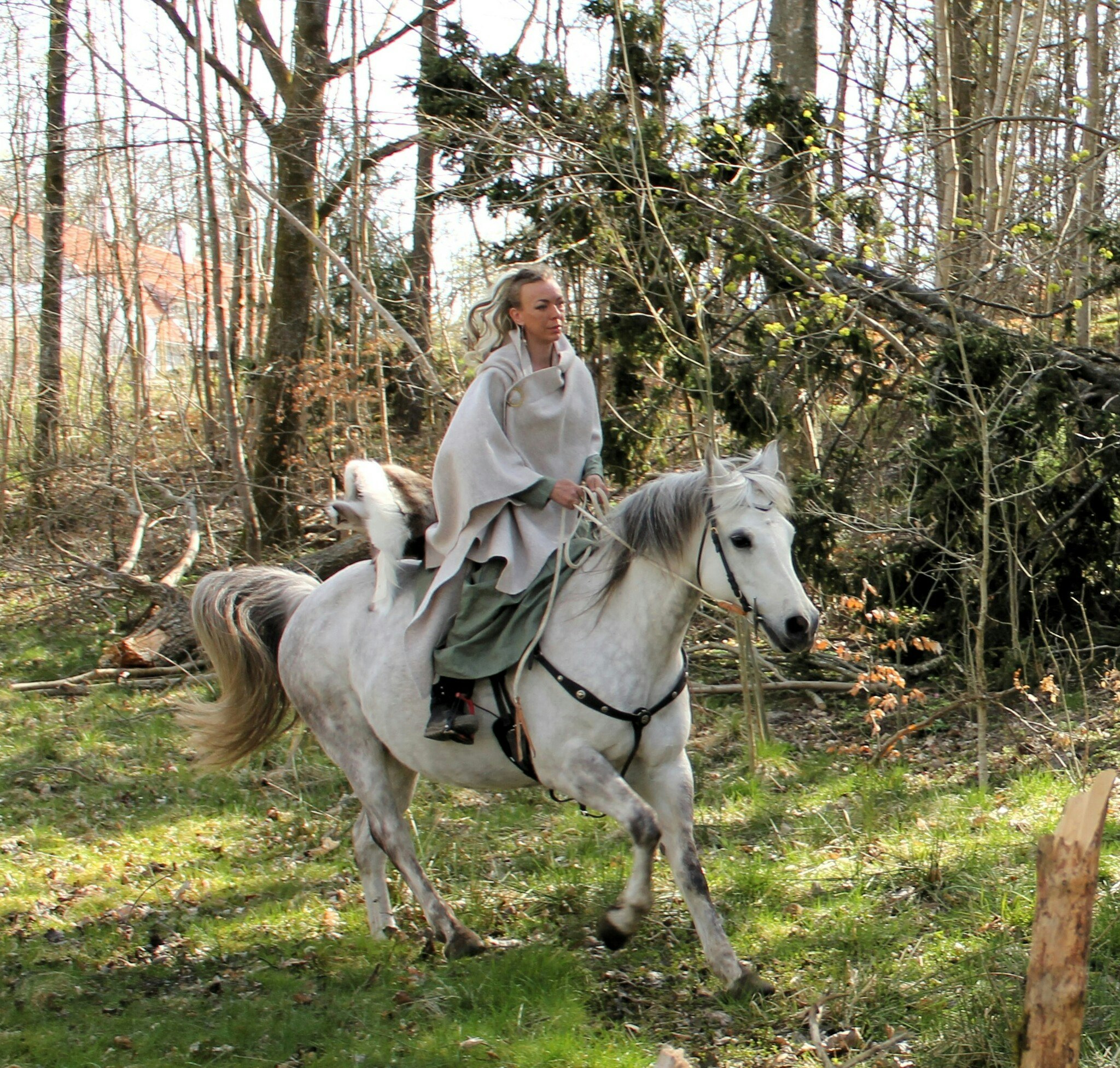 viking on horseback