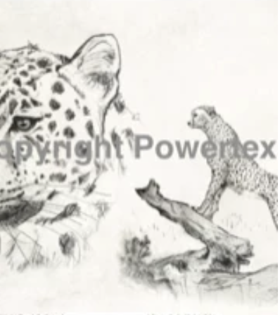 Cheeta, A4, laserprint
