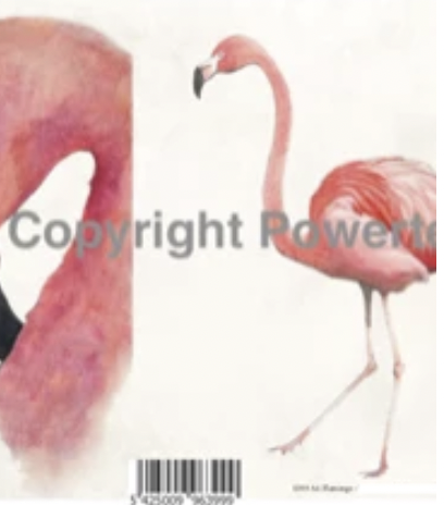 Flamingo, A4, laserprint