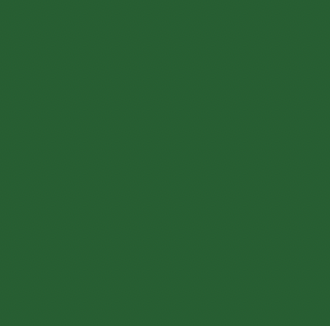 6060 Fern Green Akrylspray Montana