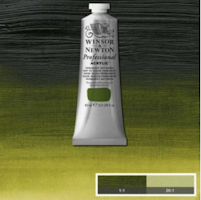 Winsor & Newton prof. 60ml - Permanent Sap Green 503