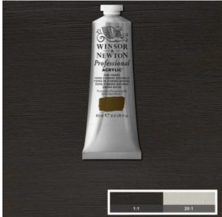 Winsor & Newton prof. 60ml - Raw Umber 554