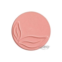 Blush 01 Pink Shimmer