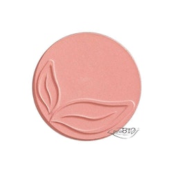 Blush 01 Pink Shimmer