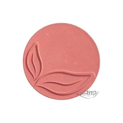 Blush 05 Water Melon