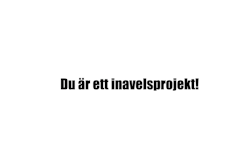 Dekal - Du är ett inavelsprojekt!