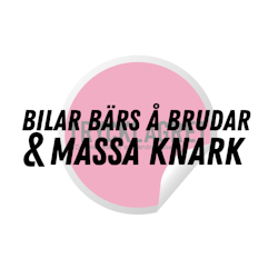 Dekal - Bilar bärs och brudar