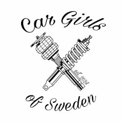Dekal - Car Girls of Sweden #3