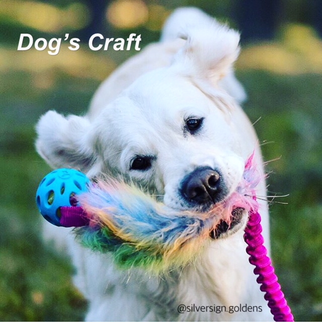 Kampleksaker från Dog's Craft
