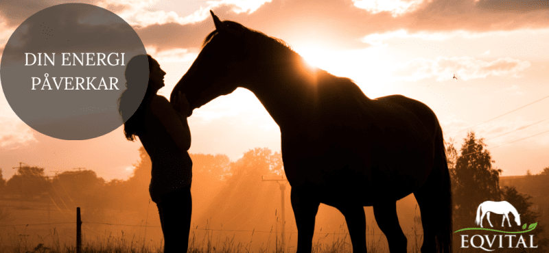 Energi påverkar relationen med hästen