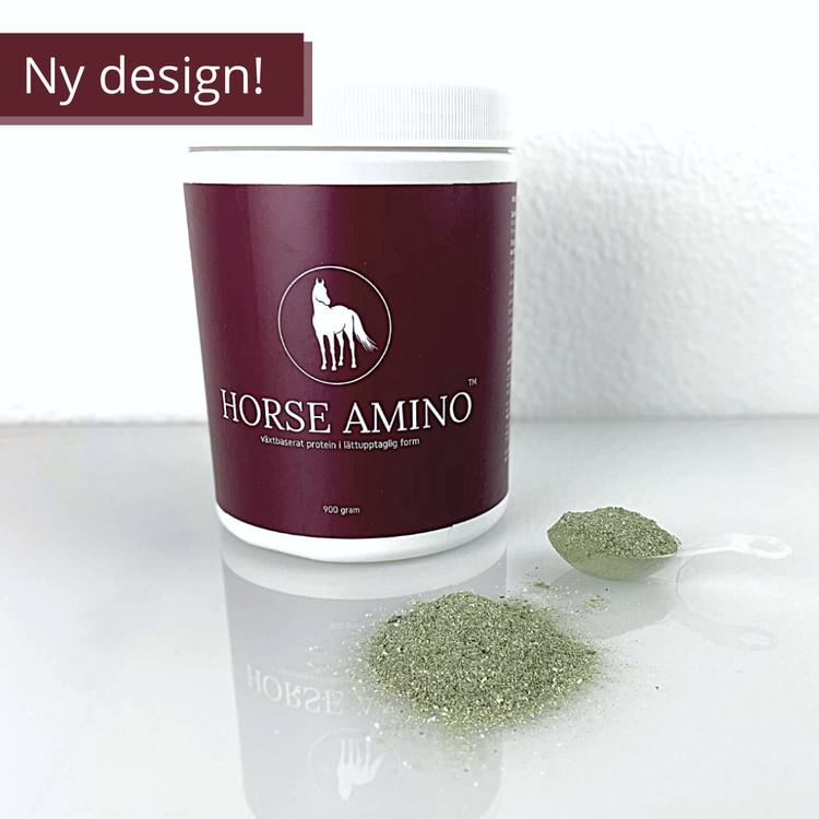 Horse Amino proteintillskott för häst