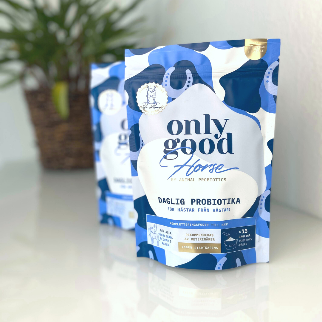 OnlyGoodHorse - daglig probiotika för din häst - Eqvital AB hästfoder och  Fodertillskott för din hä