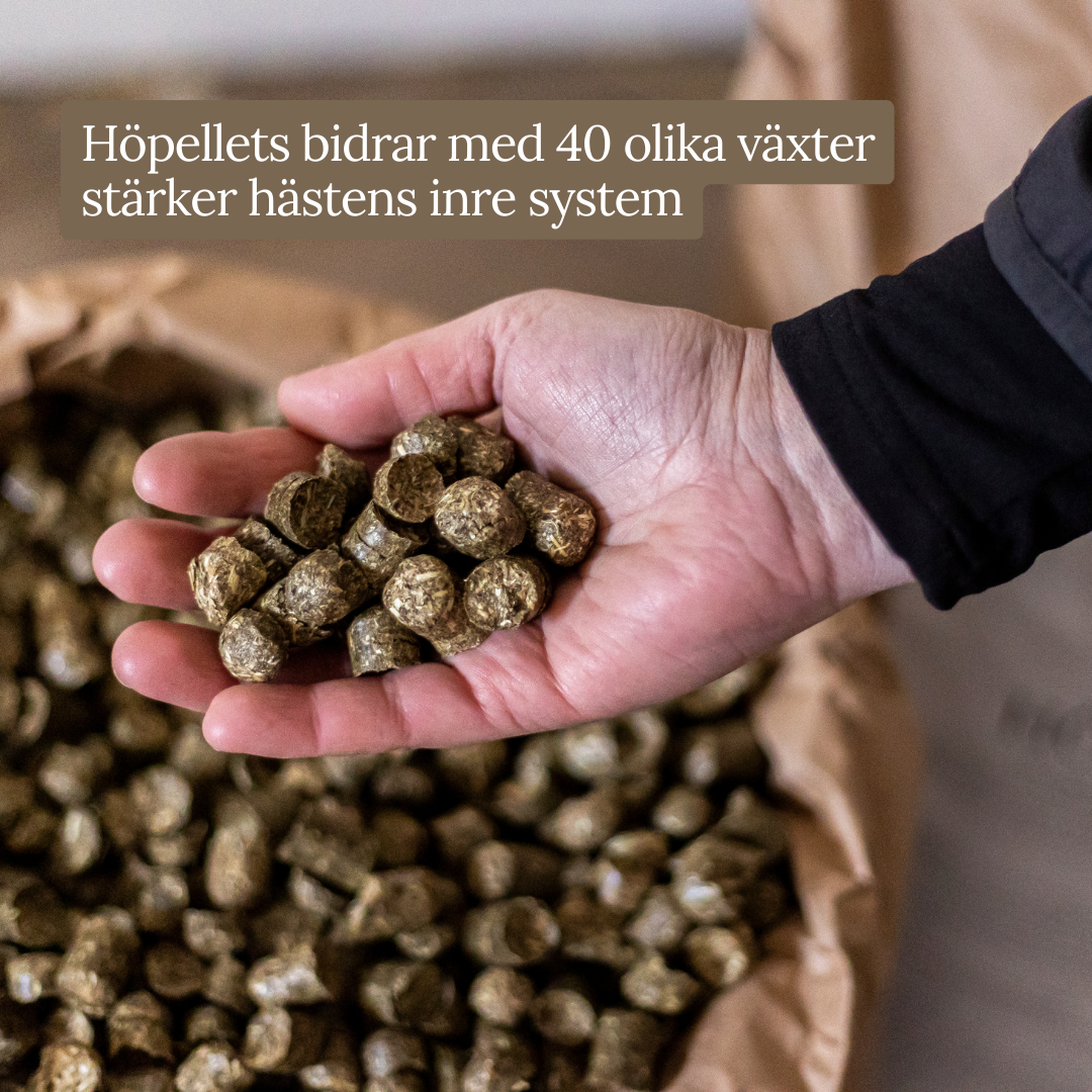 HÖPELLETS 30 säckar á 20kg, frakt ingår.