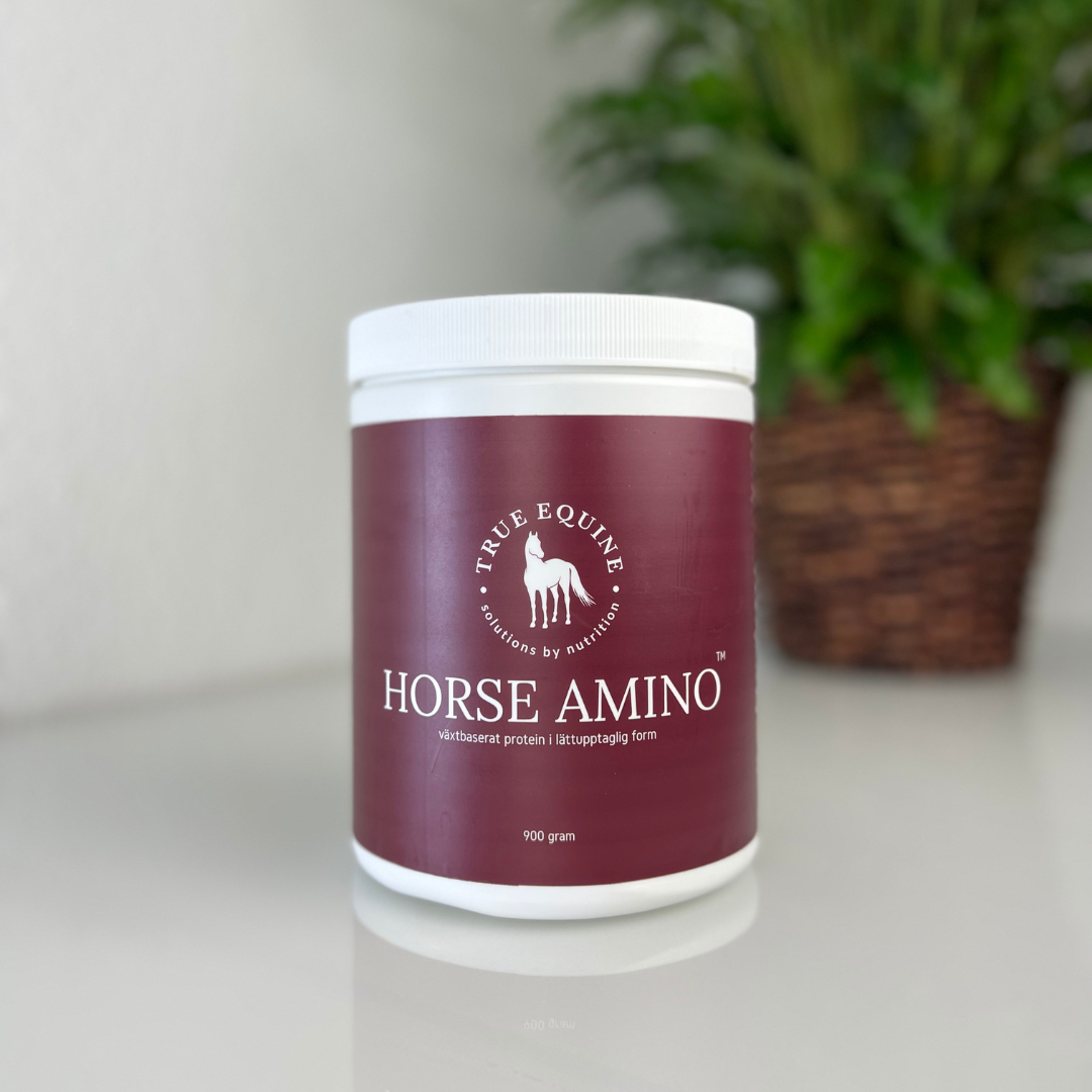 Horse Amino proteintillskott för häst