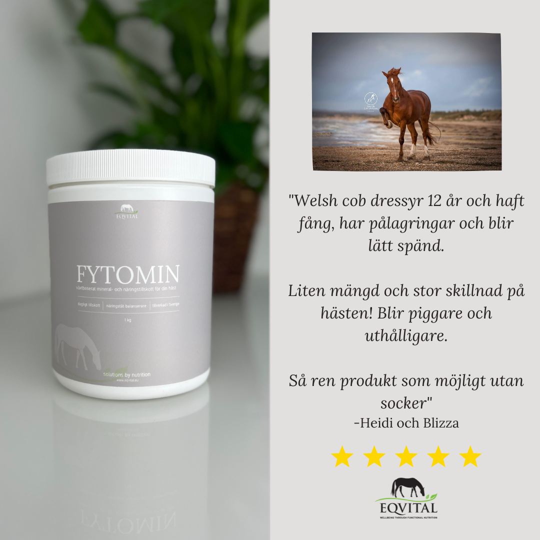 FYTOMIN - Växtbaserat mineral och näringstillskott