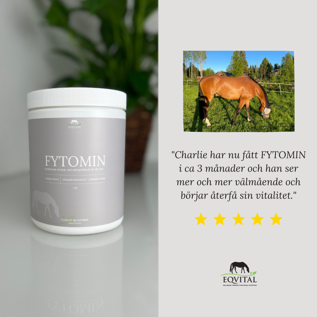 FYTOMIN - Växtbaserat mineral och näringstillskott