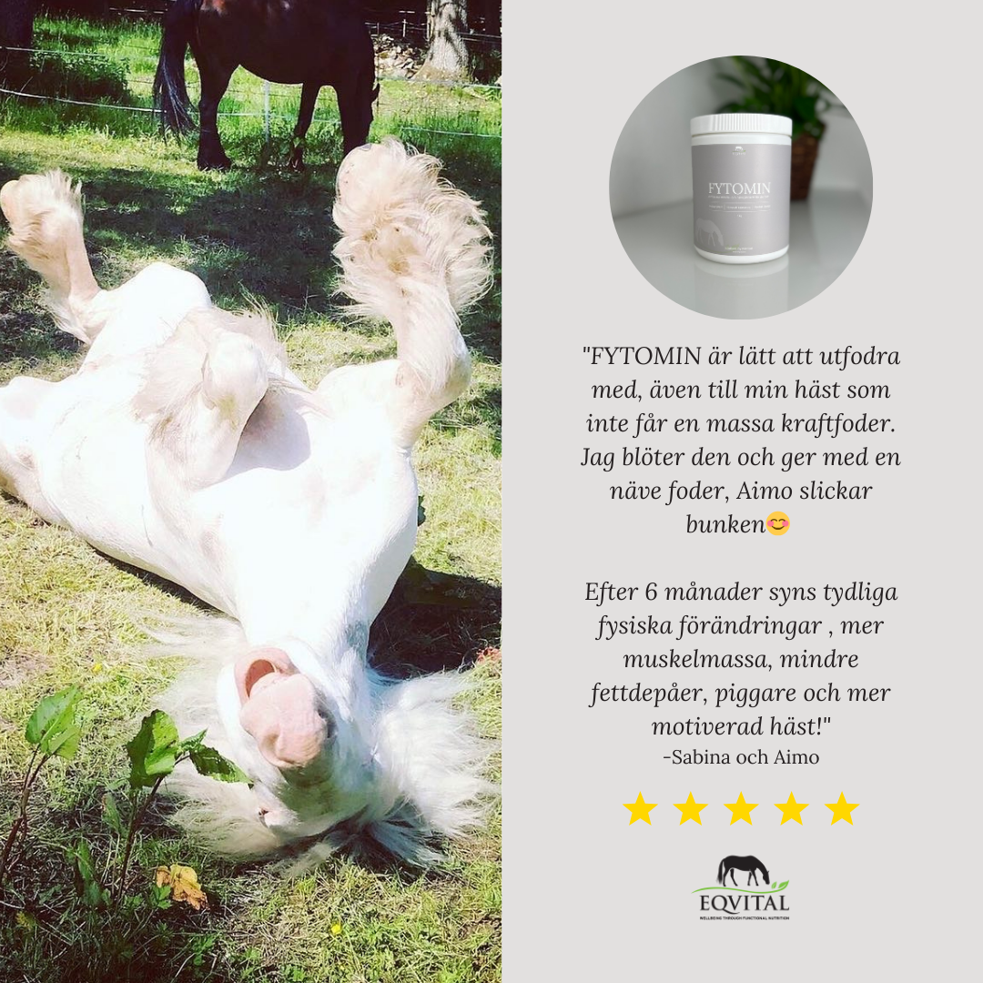 FYTOMIN - Växtbaserat mineral och näringstillskott
