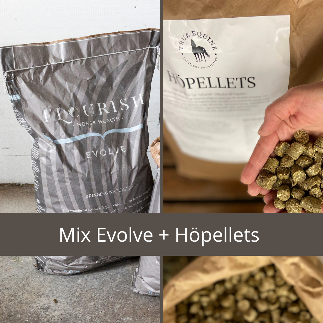 Mixpall: Evolve och Höpellets
