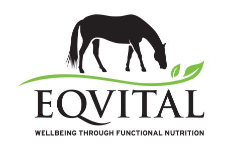 EQVITAL logo