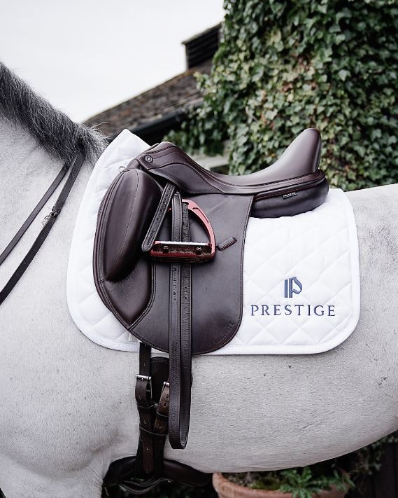 PRESTIGE SADLAR - Rittforsridsport