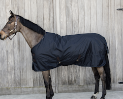 KentuckyTurnout Rug All Weather Waterproof Classic 150g