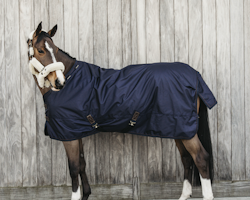 kentucky Turnout Rug All Weather Waterproof pro 160g