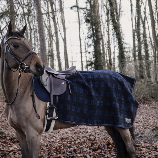 Kentucky Quarter Heavy Fleece