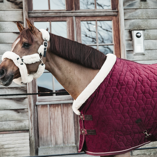 Kentucky Show Rug Velvet 160g