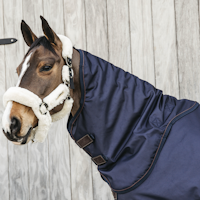 Kentucky Neck All weather Waterproof  PRO 150g