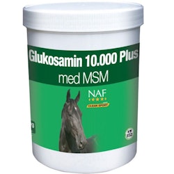 GLUKOSAMIN 10.000 PLUS MSM, PULVER