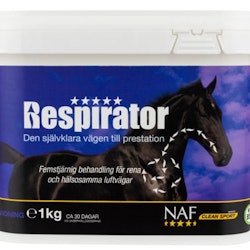 RESPIRATOR, PULVER