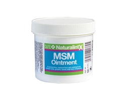 NaturalintX MSM Salva 250g