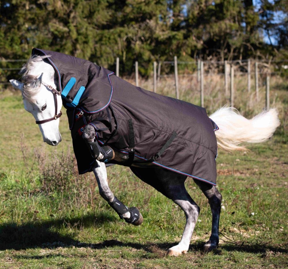 SHIRES HIGHLANDER 300G SET TÄCKE + HALS