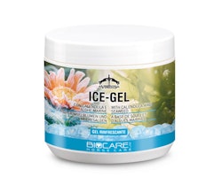 Ice Gel 500 ml