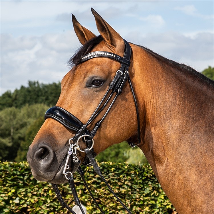 Dyón Rundsytt träns bred pullbacknosgrimma NR