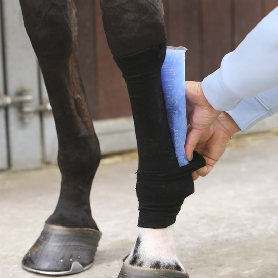 Kentucky Tendon Grip Sock Svart