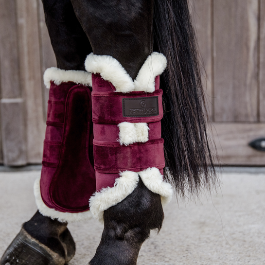 Kentucky Brushing Boots Velvet Contrast