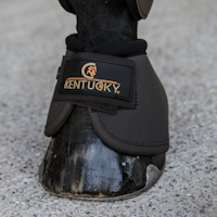 Kentucky Boots Ait Tech Brun