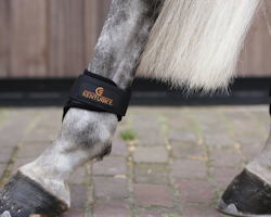 Kentucky Young Horse Fetlock Boots