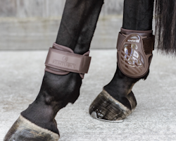 Kentucky Young Horse fetlock boots color