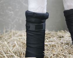 Kentucky Repellent Stable Bandages