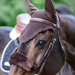 Kentucky Fly Veil